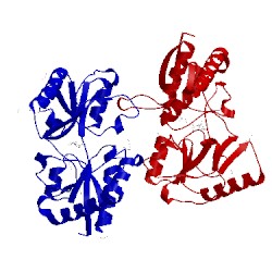 Image of CATH 4pp0