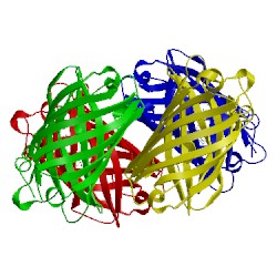 Image of CATH 4ppk