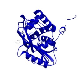 Image of CATH 4ppr