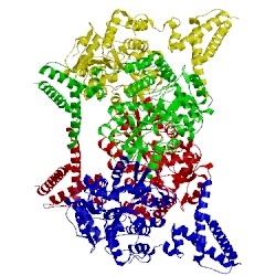 Image of CATH 4pqk