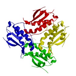 Image of CATH 4pqp