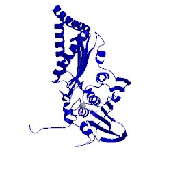 Image of CATH 4prv