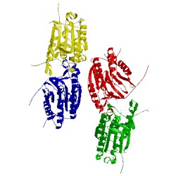 Image of CATH 4ps1