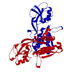 Image of CATH 4psh