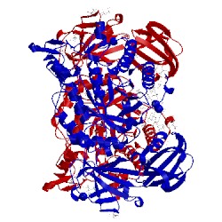 Image of CATH 4psr