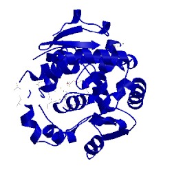 Image of CATH 4psu