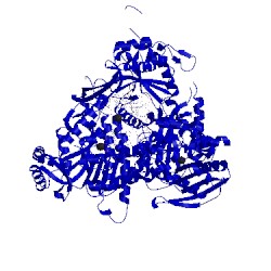 Image of CATH 4ptf