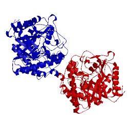 Image of CATH 4ptx