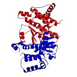 Image of CATH 4pur