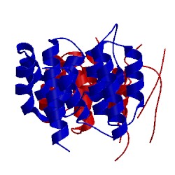 Image of CATH 4pus