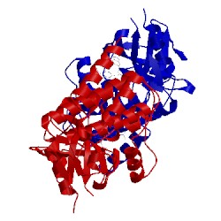 Image of CATH 4puz