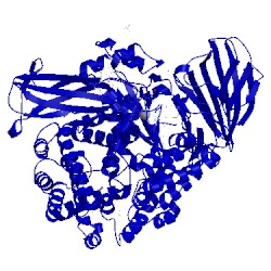 Image of CATH 4pvb