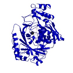 Image of CATH 4pvk