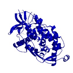 Image of CATH 4pwv