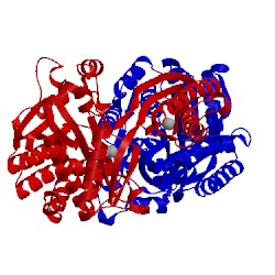 Image of CATH 4pxe
