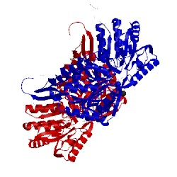 Image of CATH 4pxl