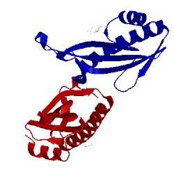 Image of CATH 4q11