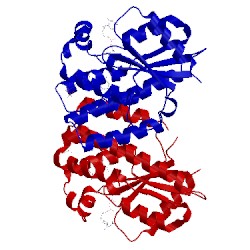 Image of CATH 4q1b