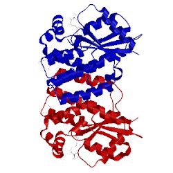 Image of CATH 4q1c