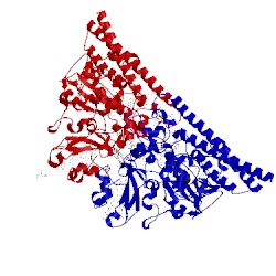Image of CATH 4q1o