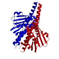 Image of CATH 4q20