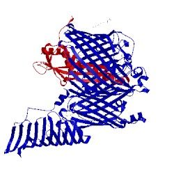 Image of CATH 4q35