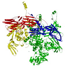 Image of CATH 4q4z