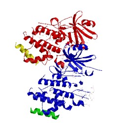 Image of CATH 4q5j