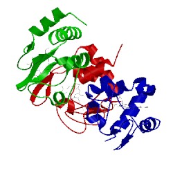 Image of CATH 4q5p