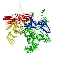 Image of CATH 4q5s