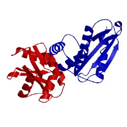 Image of CATH 4q6z