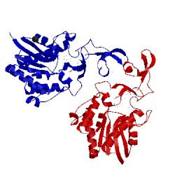 Image of CATH 4q7q