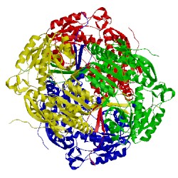 Image of CATH 4q92