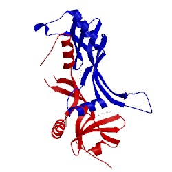 Image of CATH 4q95