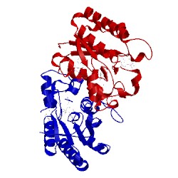 Image of CATH 4q9a