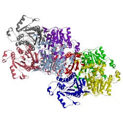 Image of CATH 4q9n