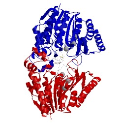 Image of CATH 4qa6