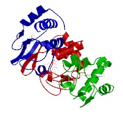 Image of CATH 4qao