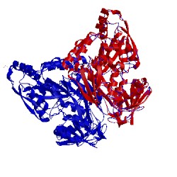 Image of CATH 4qfp