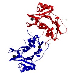 Image of CATH 4qgo