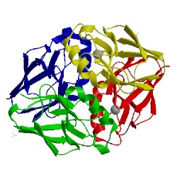 Image of CATH 4qlw