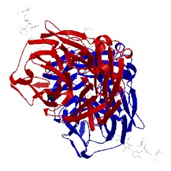 Image of CATH 4qn4