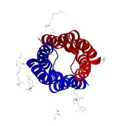 Image of CATH 4qnc