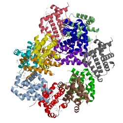 Image of CATH 4qnq