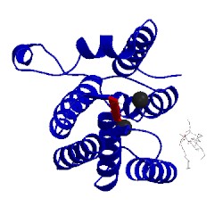 Image of CATH 4qo0