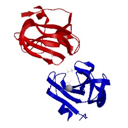 Image of CATH 4qp5