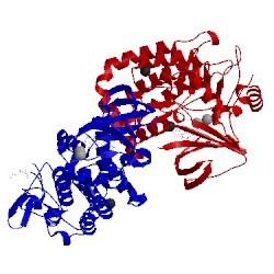 Image of CATH 4qpm