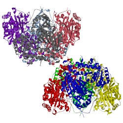 Image of CATH 4qpz