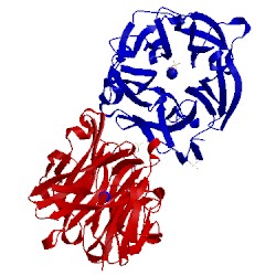 Image of CATH 4qqs