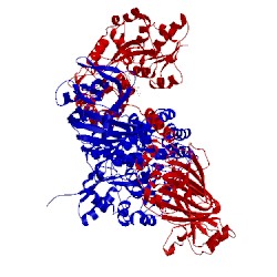 Image of CATH 4qsz